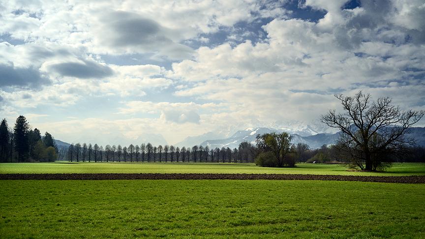 Helle, durchbrochene Wolkendecke über Bergen, grünen Wiesen und einer Baumallee