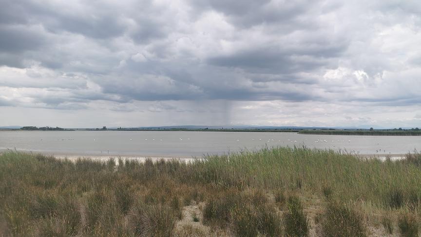 © Maria Feike Blick über einen bewachsenen Strand und einen See. Am Himmel hängen Wolken, im Hintergrund ziehen sich Schlieren durch Regenfall zum Boden.