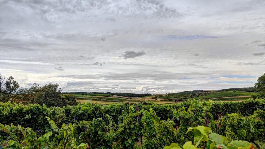 © Gerti Portisch Im Weinviertel beginnt es aufzulockern. Blick über die Weinberge von Kleinhadersdorf Richtung Föllim. (Gerti Portisch)