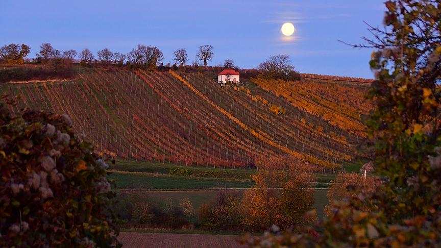 © Hermann Sauer Einen Tag nach Vollmond. (Hermann Sauer)