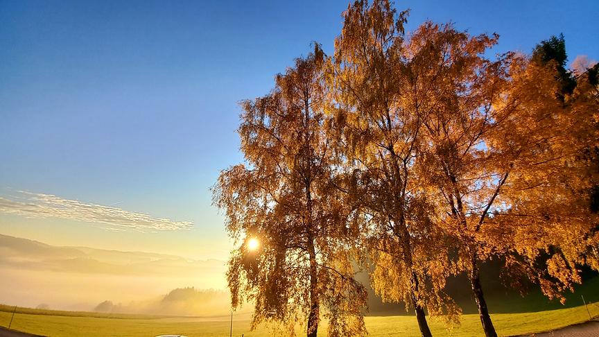 Morgenstimmung in Peilstein im Mühlviertel (Sabine Lauß)