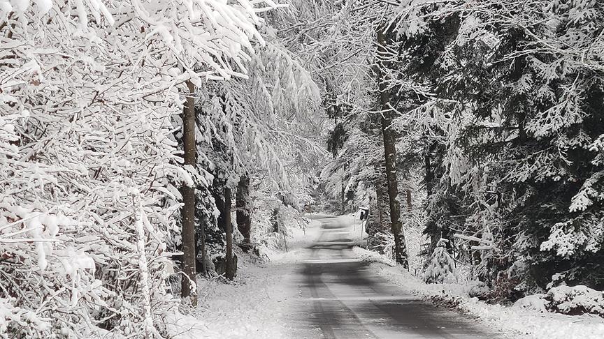 © Helga Grimps Schnee im Mühlviertel. (Helga Grimps)