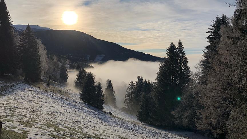 © Eva Grassauer Sonnenaufgang auf der Koralpe mit aufsteigendem Nebel vom Tal. (Eva Grassauer)