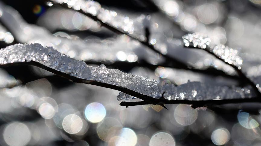 © Walter Hochfellner Winterliches Glitzern in den Gaaler Bergen bei Knittelfeld. (Walter Hochfellner)