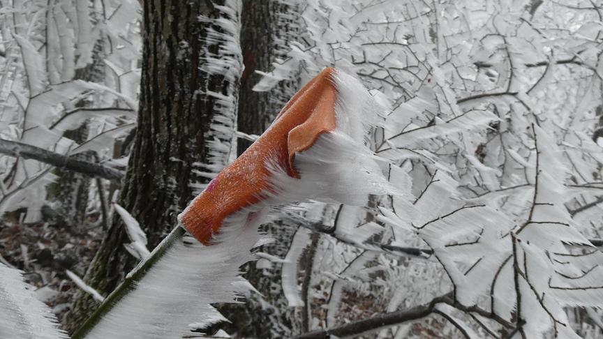 © Vanessa Wolf Raureif und Wind am Anninger. (Vanessa Wolf)