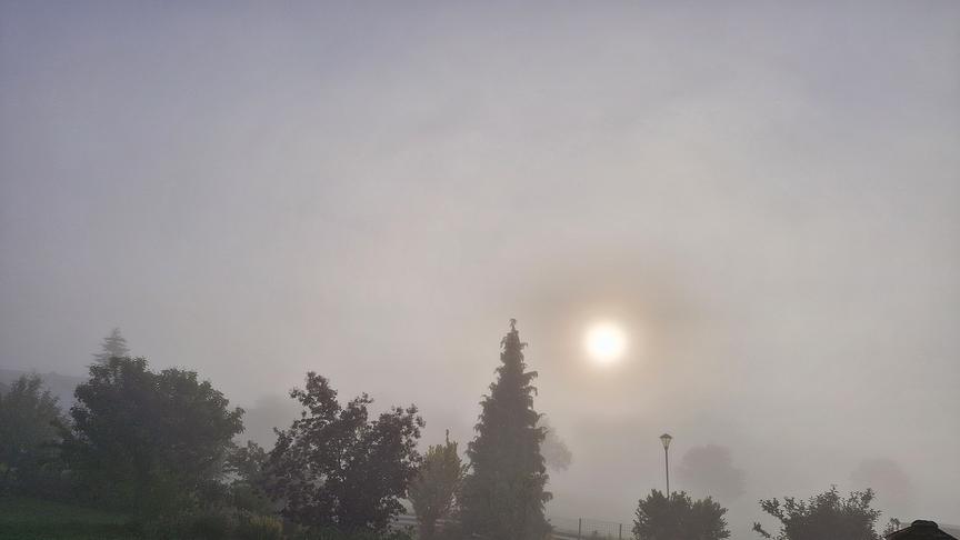 Garten mit Bäumen und Vogelhäuschen bei dichtem Nebel. Die Sonne schimmert verschleiert durch den Nebel.