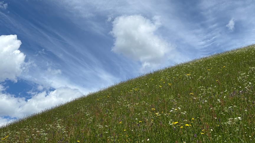 Beinahe symmetrisches Bild zur Hälfte mit blauem Himmel voller Schleierwolken und zur anderen Hälfte mit einem grünen, wild bewachsenen Hügel.
