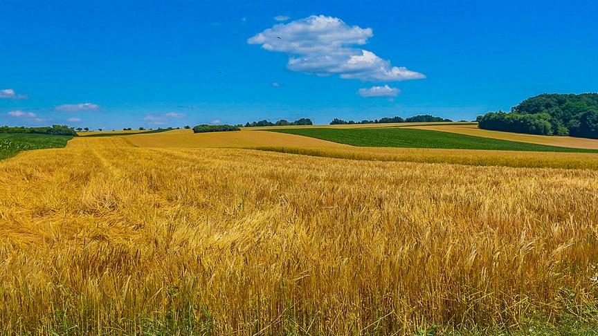 © Siegfried Schlager Hügelland Schaft Südburgenland bei Oberwart. (Siegfried Schlager)