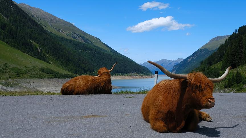 © Roberto Moresco Gestern Kaunertal bei Herrlichen Kaiser Wetter. (Roberto Moresco)