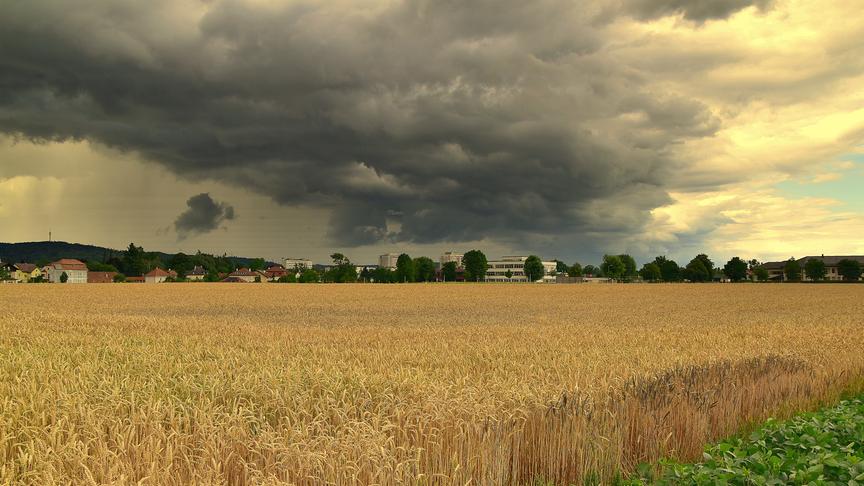 © Reinhard Weigel "Gewitterwolken" über dem Kornfeld in Braunau am Inn (Reinhard Weigel)