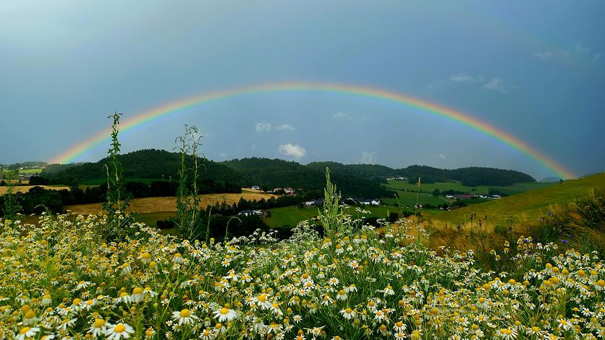 Regenbogen in Peilstein im Mühlviertel (Sabine Lauß)
