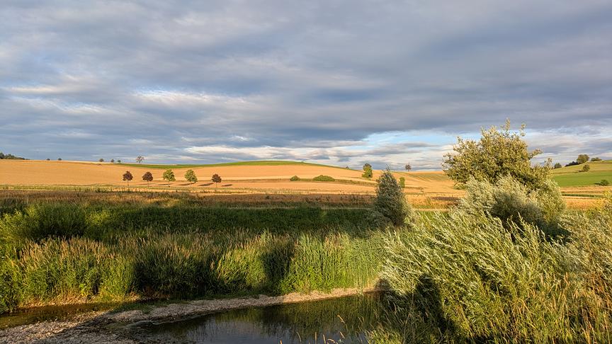© Petra Karner Im Vordergrund ein kleines Gewässer umgeben von üppiger, dichter und grüner Bepflanzung. Dahinter erstrecken sich Weizenfelder und Wiesen über flache Hügel. Bäume stehen vereinzelt dazwischen und teils in einer Allee aufgereiht. Der Himmel wid von eine fast durchgehenden Wolkendecke bedeckt. Dennoch ist die Landschaft von einem hellen, warmen Sonnenlicht erleuchtet.