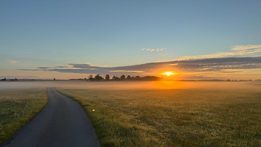 © Harald Dorfmeister Sonnenaufgang im Frühnebel (Harald Dorfmeister)