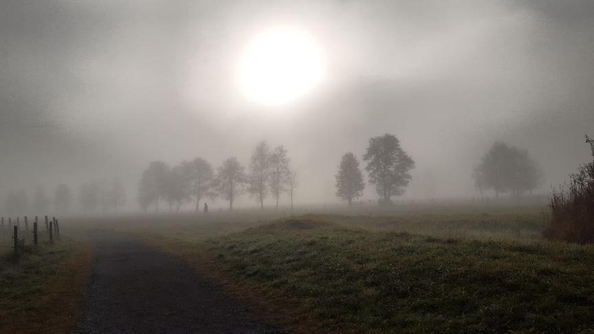 © Waltraud Piroutz Bei einem entspanntem Morgenspaziergang im Nebel ist die Welt wunderbar leise. (Waltraud Piroutz)