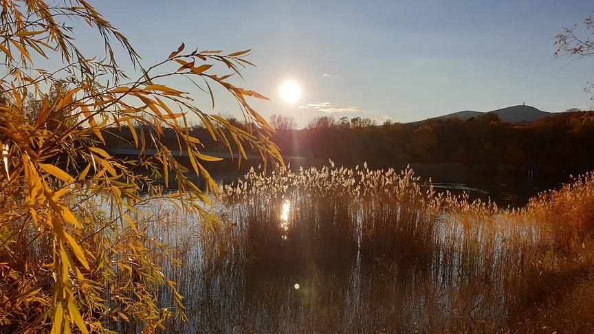© Heidi Geschina Abendstimmung am Windradlteich. (Heidi Geschina)