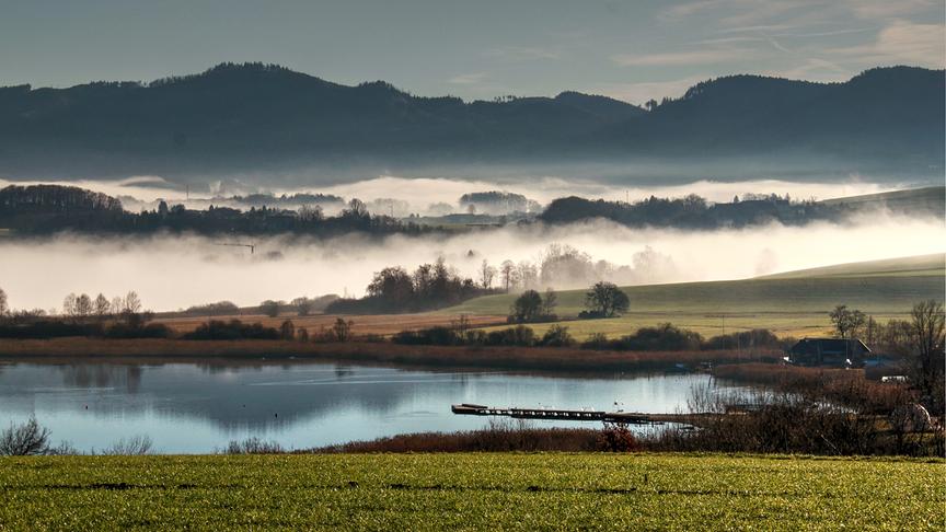 © Emma Sommeregger Gestern konnte ich am frühen Vormittag den Wallersee einmal von oben mit Nebelschwaden fotografieren. (Emma Sommeregger)