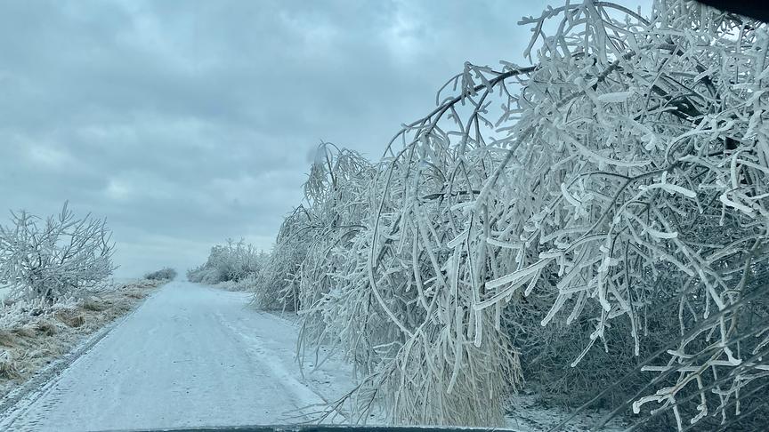 © Franziska Dostal Winterwunderland aus Eis. (Franziska Dostal)