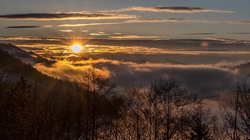 © Harald Haselsteiner Nebeliger Sonnenuntergang am Mitterberg in Randegg (Niederösterreich) Richtung St. Leonhard/Wald. (Harald Haselsteiner)
