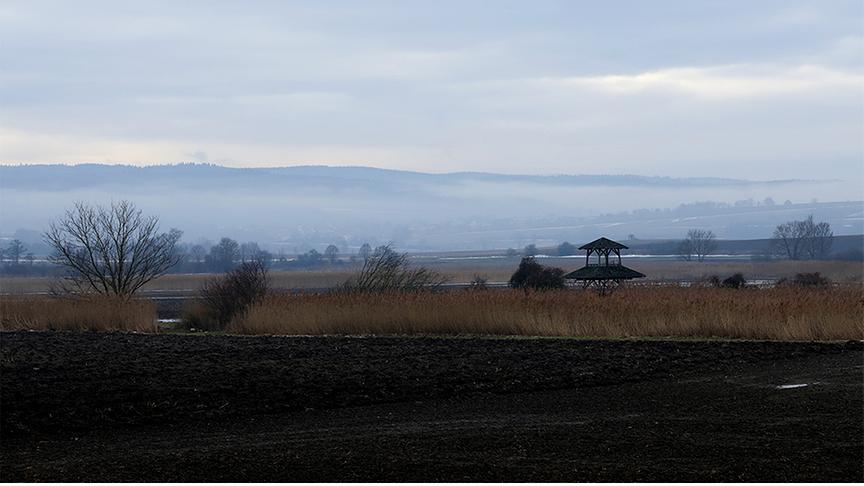 Nebel zieht vor den Bergen über die flache, dunkle Landschaft.