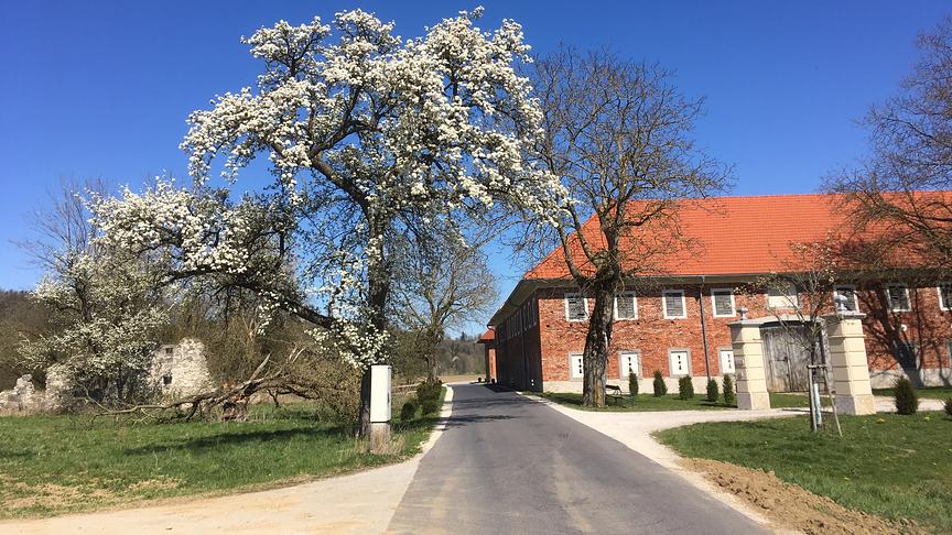 © Wilhelm Essl Birnbaumblüte in Kremsmünster. (Wilhelm Essl)