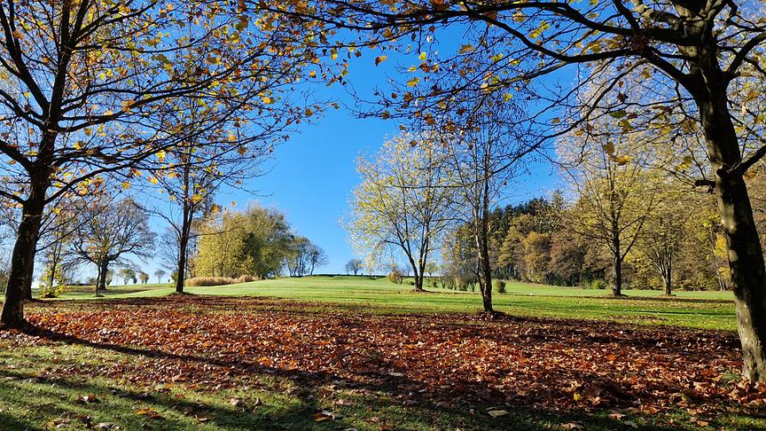 © Martin Baumgartner Morgenstimmung am Golfplatz in Hattendorf bei Wolfsberg. (Martin Baumgartner)