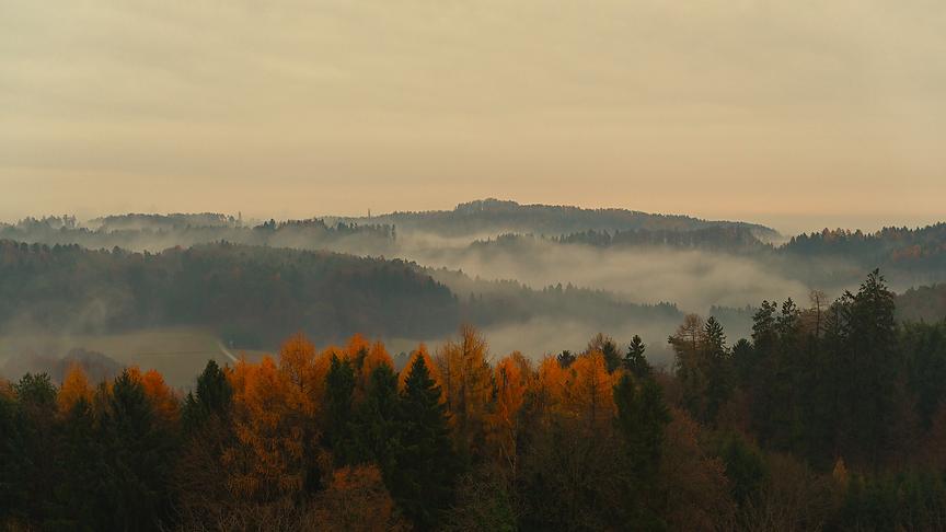 © Karl Zettelbauer Nebel zieht über Wälder und Hügel hinweg.