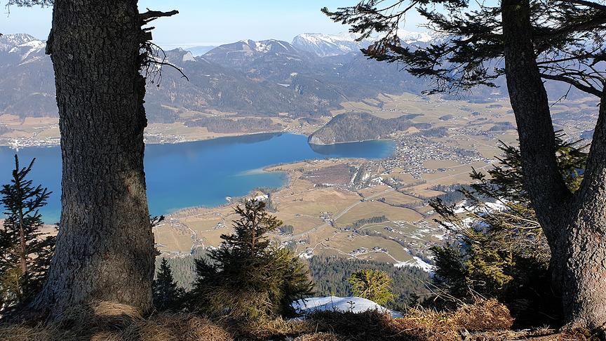 © Karl Pointner Auf der Bleckwand... (Karl Pointner)