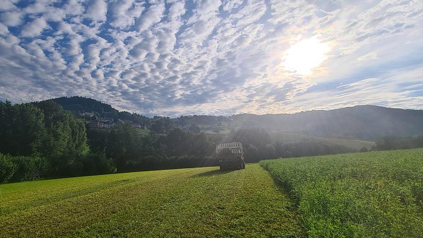 © Helga Grimps Montagmorgen in Julbach. (Helga Grimps)