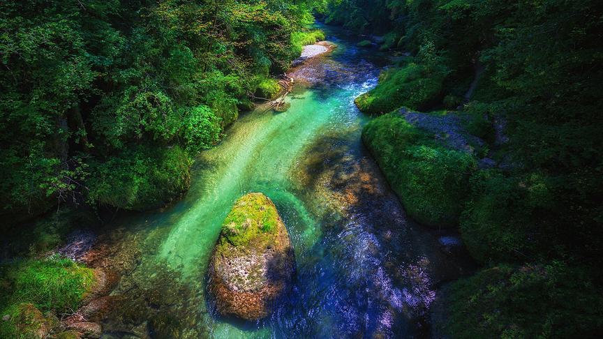 © Reinhard Eiböck Erlaufschlucht. (Reinhard Eiböck)