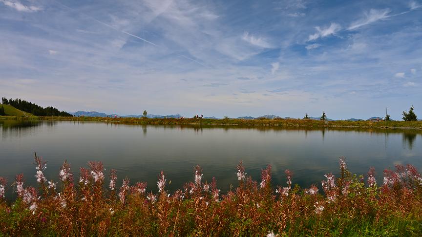 © Roberto Moresco Leichte Lichtblicke am Jochstubensee. (Roberto Moresco)