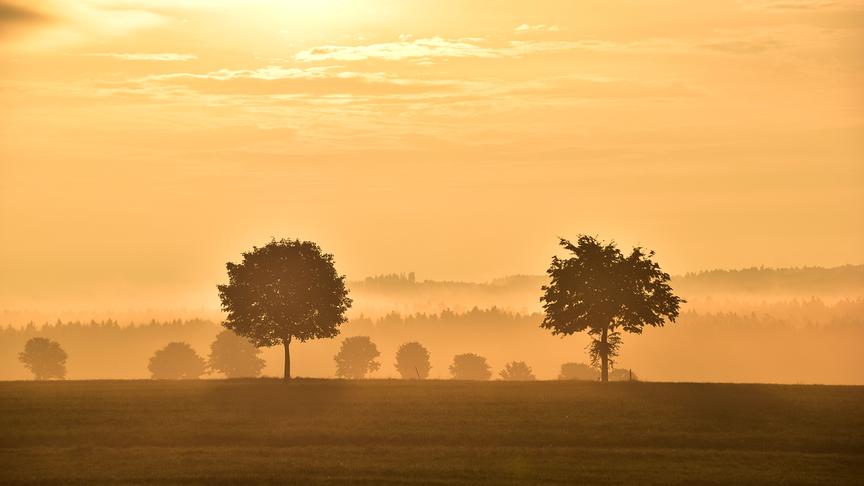 © Renate Neuwirth Strahlender Sonnenaufgang über dem dampfenden Boden nach dem nächtlichen Regen im Waldviertel bei Bad Traunstein. (Renate Neuwirth)