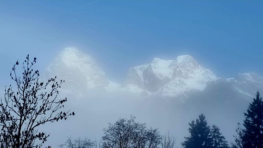 © Georg Ackerer Hinter einzelnen Baumwipfeln und leichtem Nebel zeichnen sich schneebedeckte, felsige Berggipfel ab.