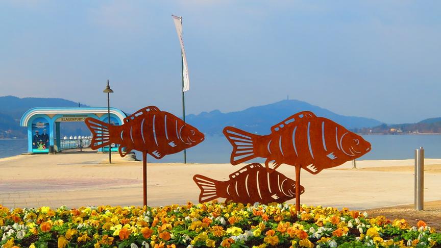 © Georg Wastl Ein frisch angepflanztes Blumenmeer in Klagenfurt am Wörthersee. (Georg Wastl)