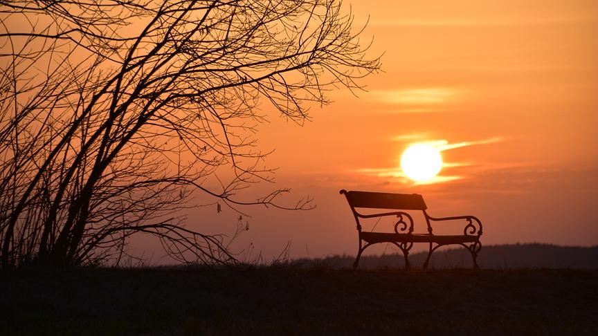Orange-rötlicher Sonnenaufgang, im Vordergrund die Silhouette eines Strauchs und einer Bank