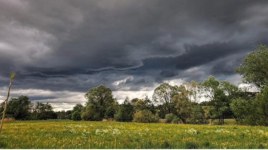 Düstere, dunkle Wolkenstimmung über einer blühenden Wiese und Bäumen.