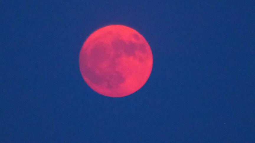 © Elisabeth Kronsteiner Erdbeermond oder Erdbeervollmond fotografiert in Kematen am Innbach am 10.6.2025 (Elisabeth Kronsteiner)