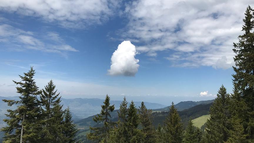 © Herbert Neuner Wolkenstimmung über Dornbirn (Bödele) (Herbert Neuner)