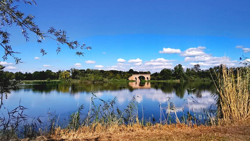 © Gerti Portisch Es herbstelt - im Hintergrund die historische Eisenbahnziegelbrücke als ältestes erhaltenes Bauwerk Österreichs/Bernhardsthaler Teich (Gerti Portisch)