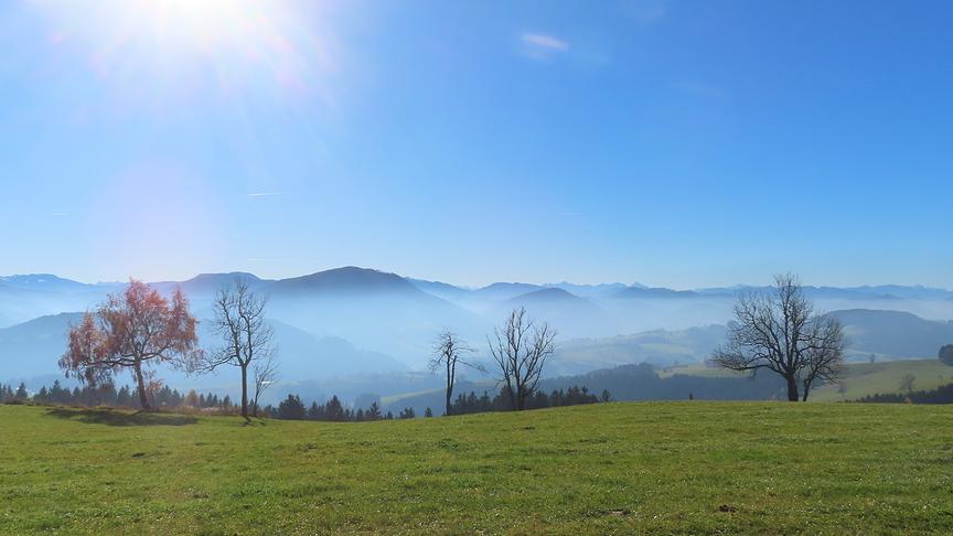 © Rudolf Kößl Ein zarter Nebelschleier über Ybbsitz. (Rudolf Kößl)