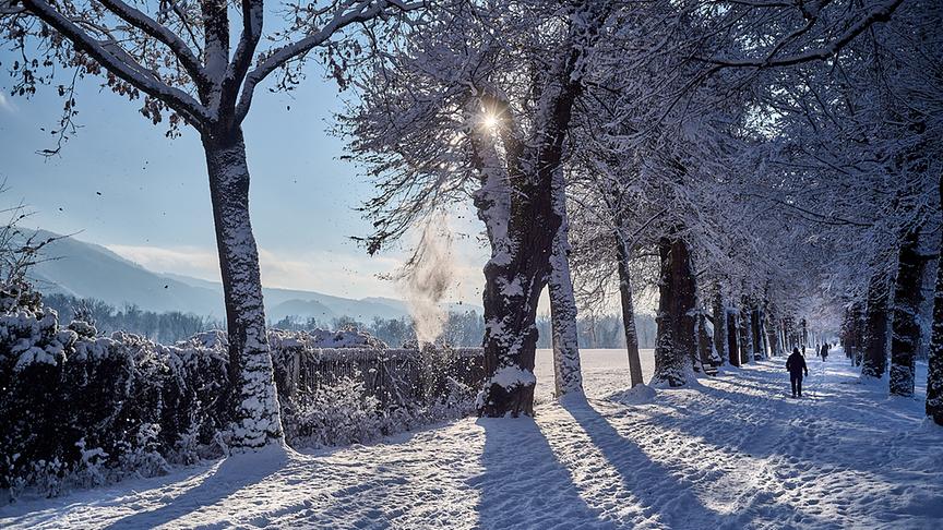 Verschneite Allee mit Spaziergängern und sichtbar vielen Fußstapfen im Schnee