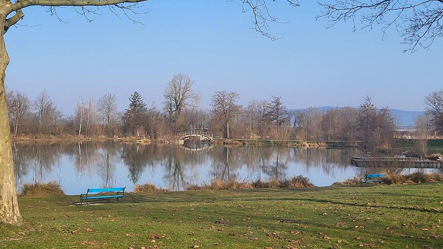 Ein See umgeben von einer Wiese mit Bäumen, darauf eine hellblaue Bank, im Hintergrund eine Brücke