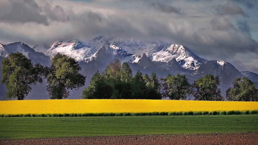 © Peter Grill Frühling im Salzkammergut im Hintergrund das Tote Gebirge. (Peter Grill)
