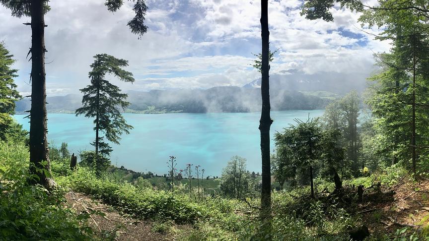 © Martin Lechner Blick von Wienerroith/Nußdorf auf den Attersee. (Martin Lechner)