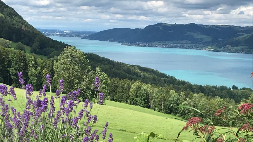 © Gertraud Birnecker Sommer am Attersee. (Gertraud Birnecker)