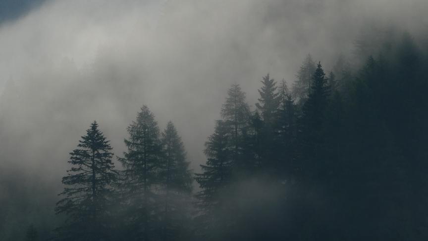 © Ferdinand Mader Wetterstimmung. (Ferdinand Mader)
