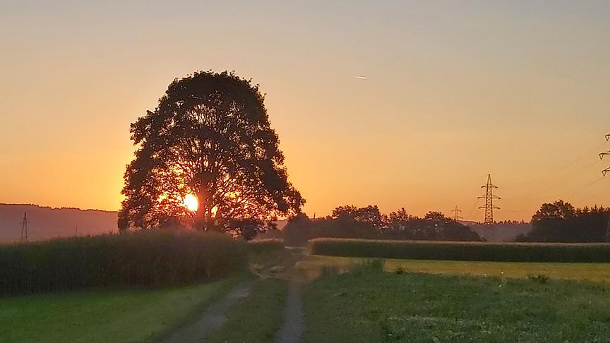 © Gisela Koffler Sonnenaufgang in Fürnitz, die Sonne blinzelt zwischen den Ästen hervor. (Gisela Koffler)