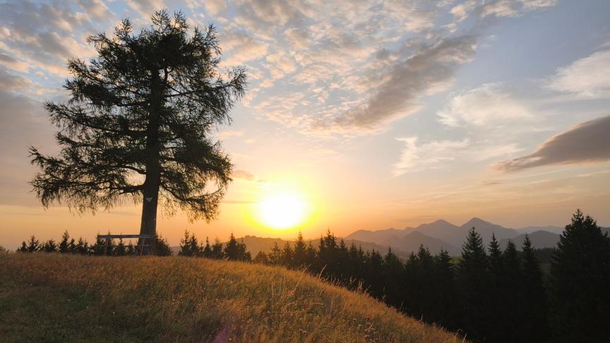 Die Sonne steht noch tief über einer entfernten Bergkette. Im Vordergrund ist ein Wald und ein Hügel mit Baum und Bank zu sehen. Über den teils warm-orangen sowie blauen Himmel ziehen sich mehrere kleine Wolken.