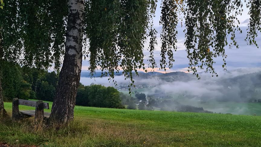 © Helga Grimps Morgennebel in Julbach (Helga Grimps)
