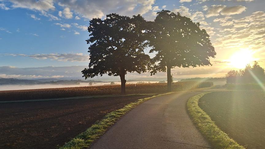 Wunderschönen Sonntagmorgen zum Sport genutzt. (Johanna Reiterer)