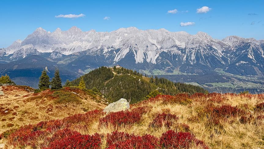 Blick vom Roßfeld hinüber zur Hochwurzen und zum Dachsteinmassiv. (Gerlinde Sailer)